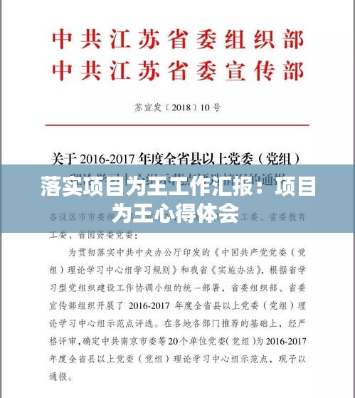 落实项目为王工作汇报：项目为王心得体会 