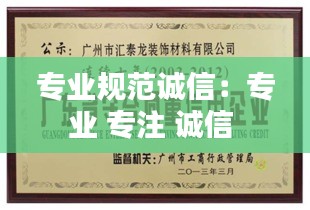 专业规范诚信：专业 专注 诚信 
