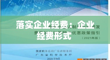 落实企业经费：企业经费形式 