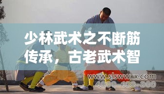 少林武术之不断筋传承，古老武术智慧与现代应用探索