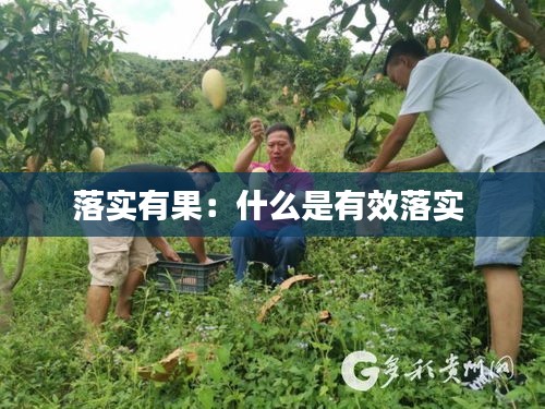 落实有果：什么是有效落实 