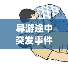 导游途中突发事件：旅游途中突发事件导游的处理办 