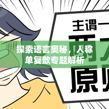 探索语言奥秘，人称单复数专题解析