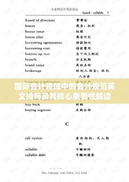 国际会计领域中的会计规范英文缩写及其核心重要性解读