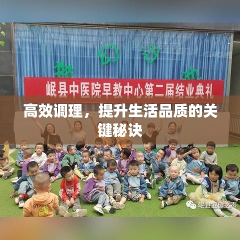 高效调理，提升生活品质的关键秘诀