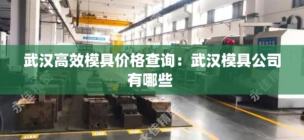 武汉高效模具价格查询：武汉模具公司有哪些 