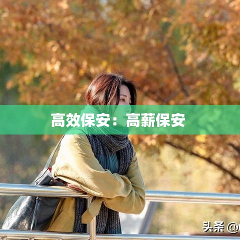 高效保安：高薪保安 