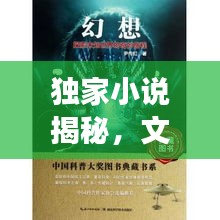 独家小说揭秘，文学之旅带你探索未知世界