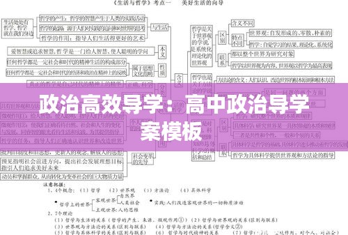政治高效导学：高中政治导学案模板 
