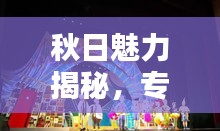 秋日魅力揭秘，专题环创下的探索与惊喜