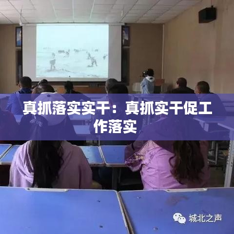 真抓落实实干：真抓实干促工作落实 
