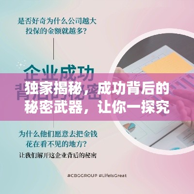 独家揭秘，成功背后的秘密武器，让你一探究竟！