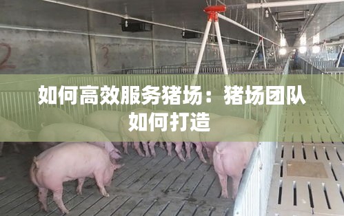 如何高效服务猪场：猪场团队如何打造 
