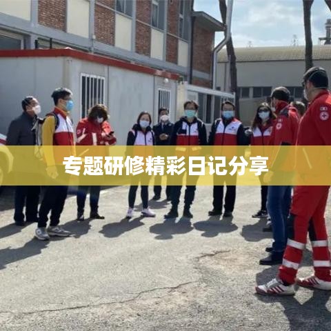 专题研修精彩日记分享
