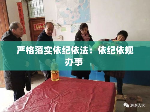 严格落实依纪依法：依纪依规办事 