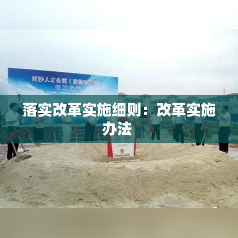 落实改革实施细则：改革实施办法 
