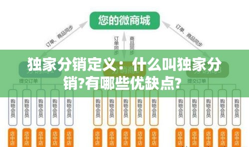 独家分销定义：什么叫独家分销?有哪些优缺点? 