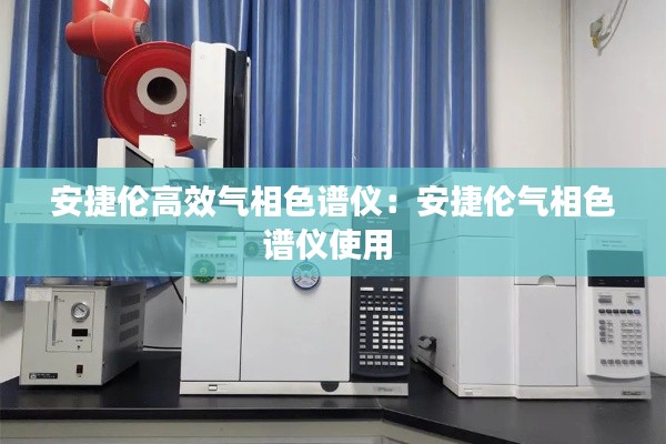 安捷伦高效气相色谱仪：安捷伦气相色谱仪使用 