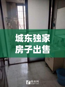 城东独家房子出售：城东房源 