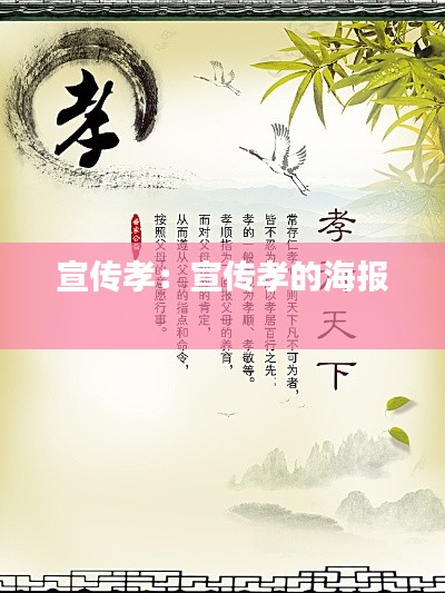 宣传孝：宣传孝的海报 