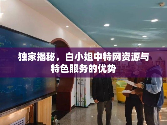 独家揭秘，白小姐中特网资源与特色服务的优势