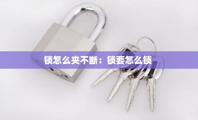 锁怎么夹不断：锁要怎么锁 