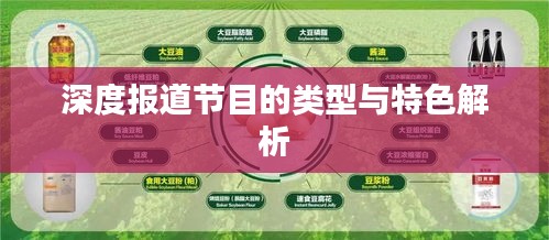 深度报道节目的类型与特色解析