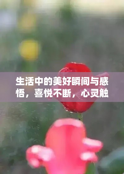 生活中的美好瞬间与感悟，喜悦不断，心灵触动