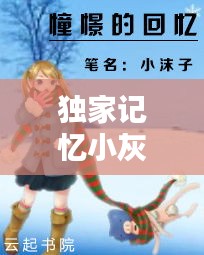 独家记忆小灰灰：独家记忆小说番外求婚 