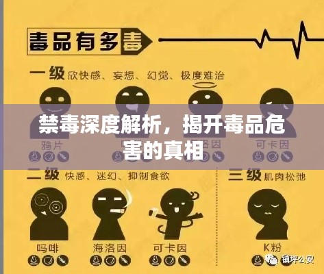 禁毒深度解析，揭开毒品危害的真相