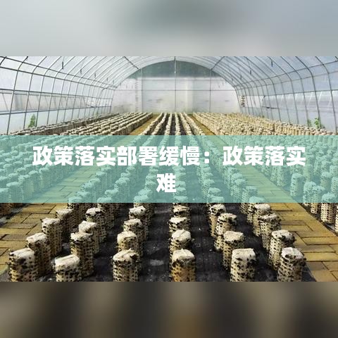 政策落实部署缓慢：政策落实难 