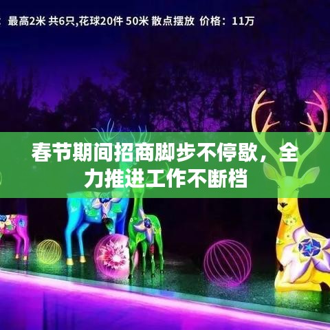 春节期间招商脚步不停歇，全力推进工作不断档