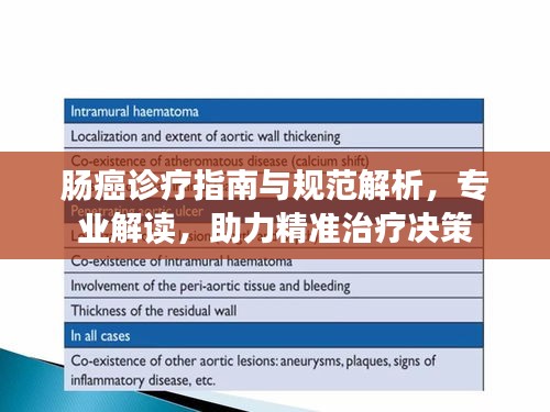 肠癌诊疗指南与规范解析，专业解读，助力精准治疗决策