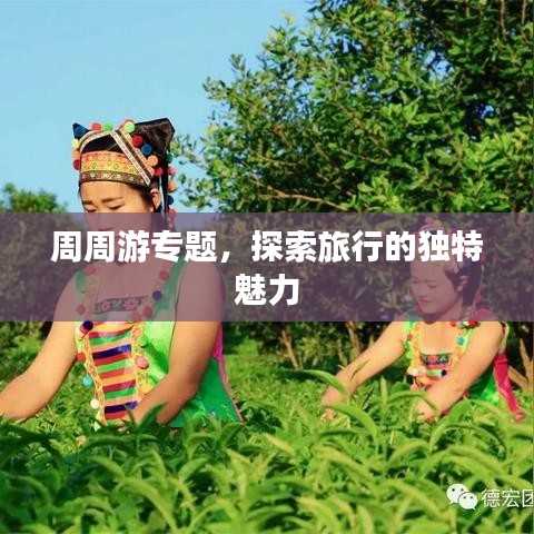 周周游专题，探索旅行的独特魅力