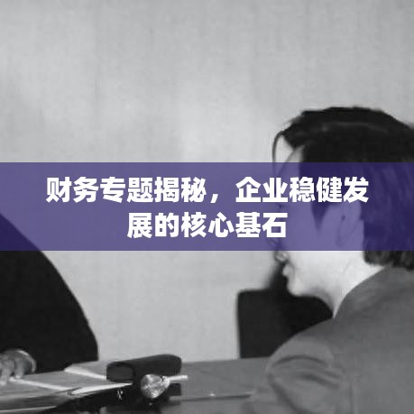 色厉内荏 第2页