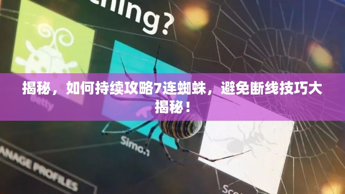 揭秘，如何持续攻略7连蜘蛛，避免断线技巧大揭秘！