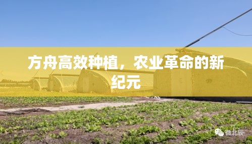 方舟高效种植，农业革命的新纪元