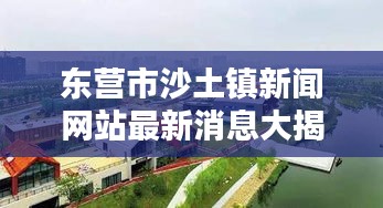 东营市沙土镇新闻网站最新消息大揭秘