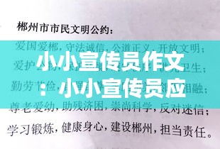 小小宣传员作文：小小宣传员应该怎么做 