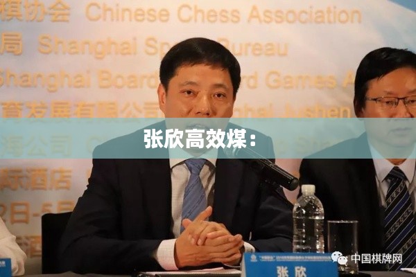 张欣高效煤： 