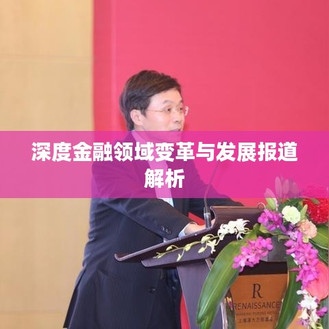 深度金融领域变革与发展报道解析