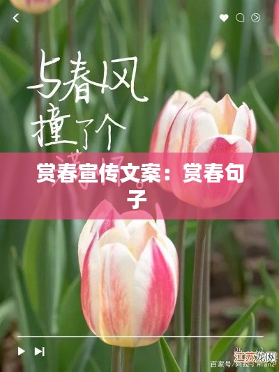 赏春宣传文案：赏春句子 