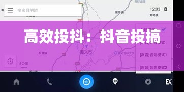 高效投抖：抖音投搞 