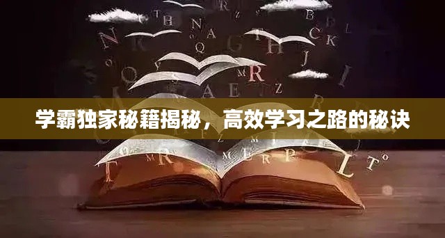 学霸独家秘籍揭秘，高效学习之路的秘诀