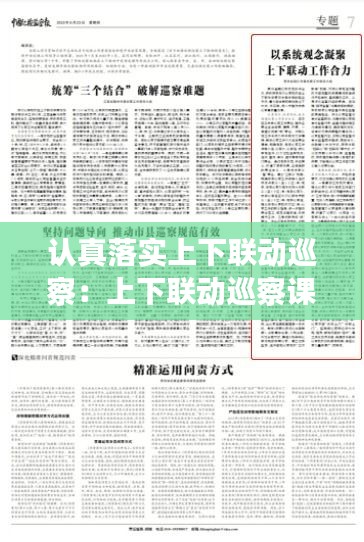 认真落实上下联动巡察：上下联动巡察课题调研 