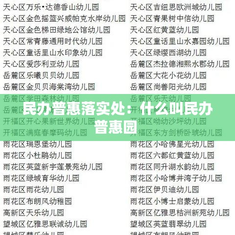 民办普惠落实处：什么叫民办普惠园 
