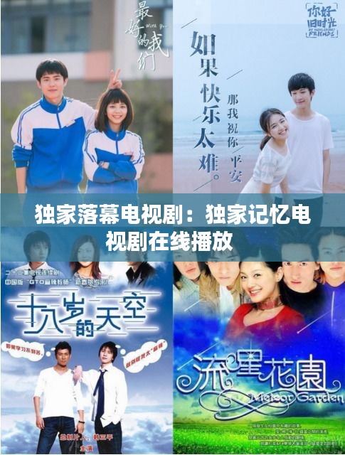 独家落幕电视剧：独家记忆电视剧在线播放 
