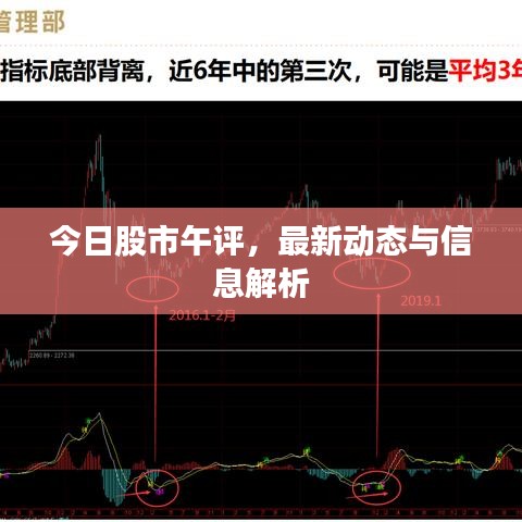 今日股市午评，最新动态与信息解析