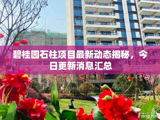 碧桂园石柱项目最新动态揭秘，今日更新消息汇总