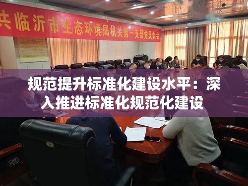 规范提升标准化建设水平：深入推进标准化规范化建设 